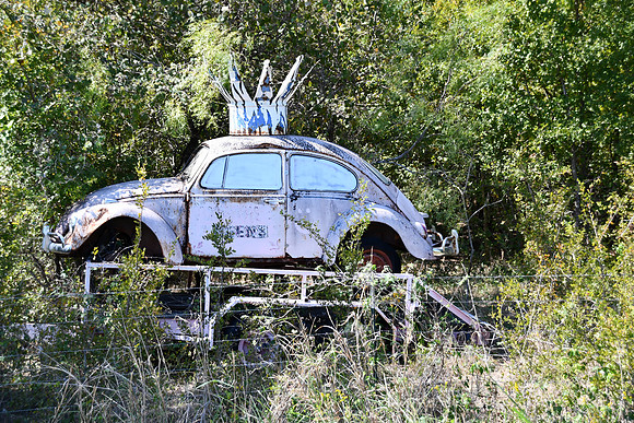 Volkswagon - Milam County 0001