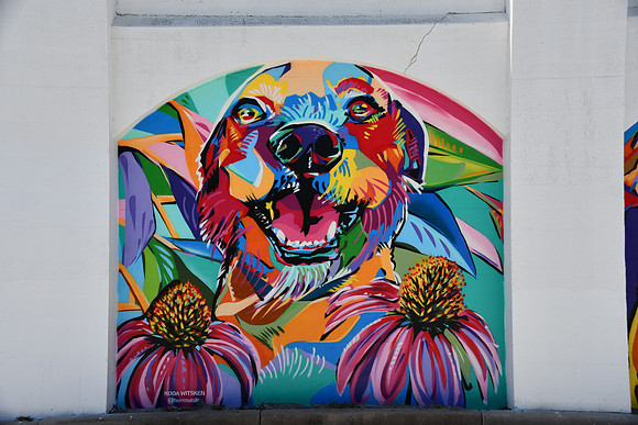 Pups on Broadway 0001d