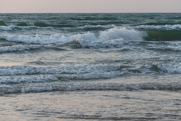 Kemp's Ridley Sea Turtle Release - 2022 - 0020