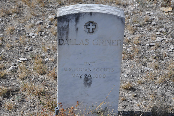 Griner, Dallas