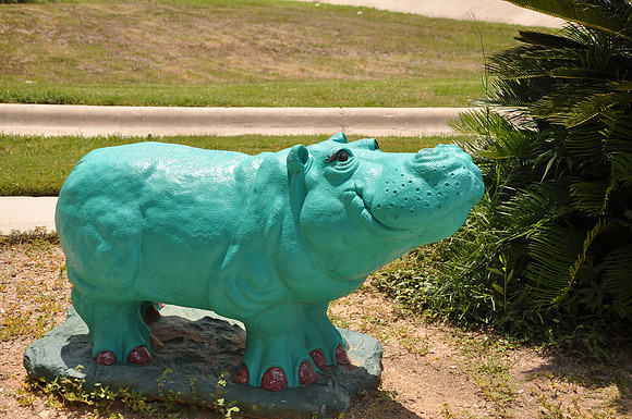 Hutto Hippo 0016