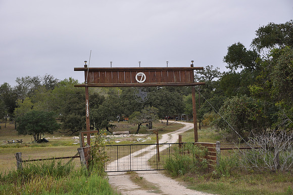 Circle 7