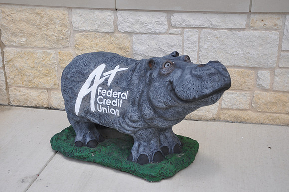 Hutto Hippo 0006