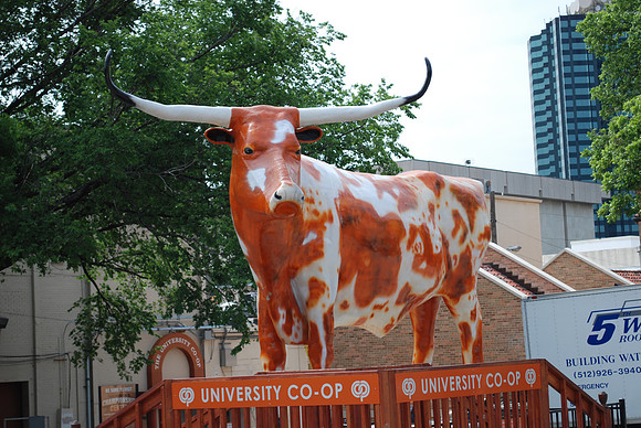 Bevo