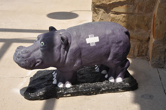 Hutto Hippo 0012