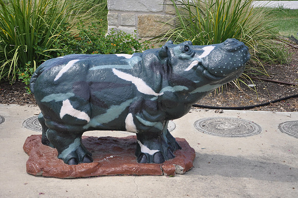 Hutto Hippo 0020