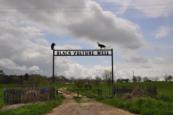 Black Vulture Well