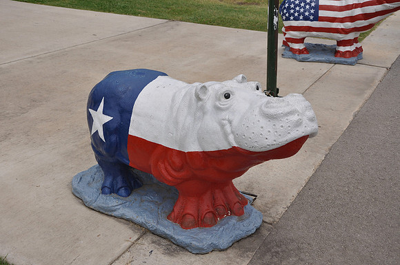 Hutto Hippo 0017