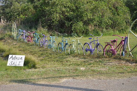 Bicycle Fence 01