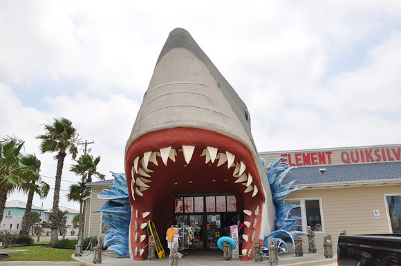 Shark
