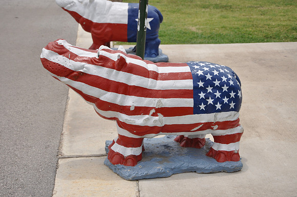 Hutto Hippo 0021