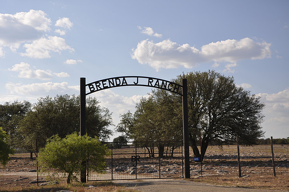 Brenda J Ranch
