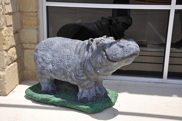 Hutto Hippo 0013