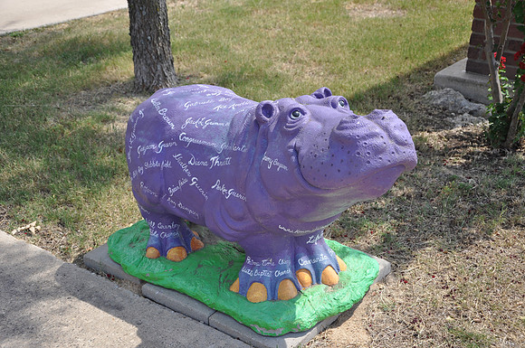 Hutto Hippo 0023