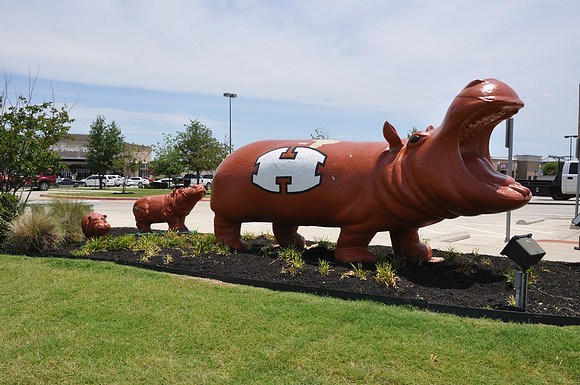 Hutto Hippo 0015
