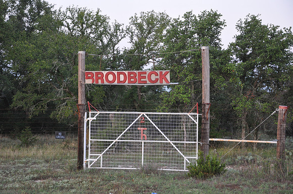 Brodbeck
