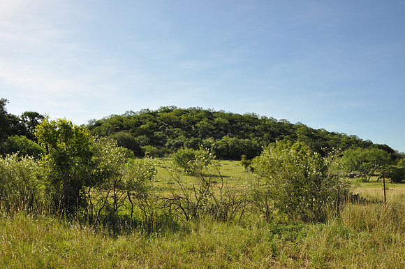 Todd Mountain