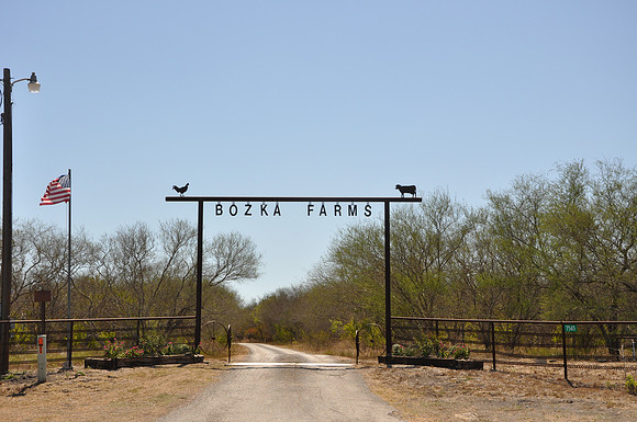 Bozka Farms
