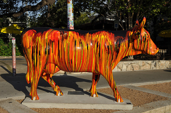 Blazing Bovine
