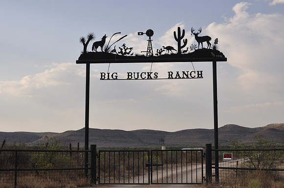 Big Buck$ Ranch