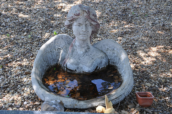 Bell County - North Belton Cemetery 0004