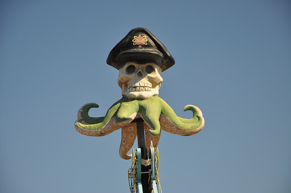 Skull