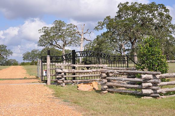 Angel Wings Farm