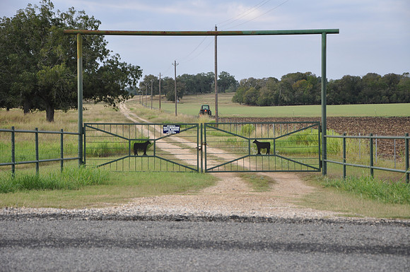 2 Toe Ranch
