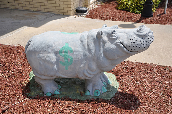 Hutto Hippo 0011
