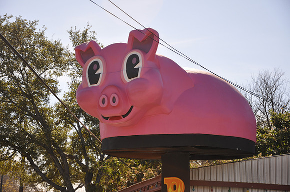 Pig