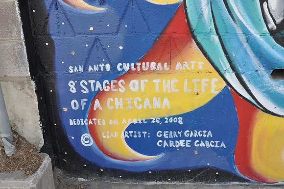 8 Stages in the Life of Chincana 0007