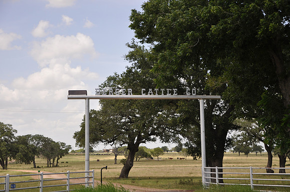 Berger Cattle Co.