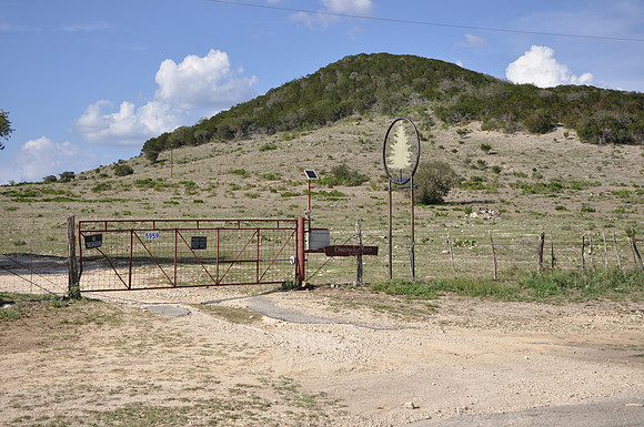 Christmas Tree Ranch