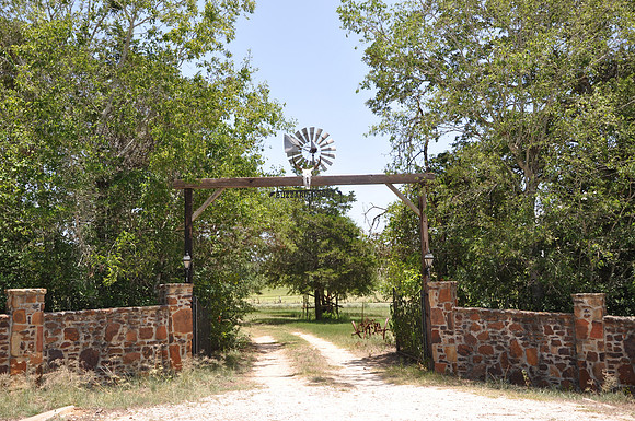 Buzzard Roost