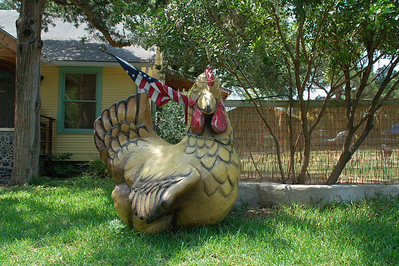Big Chicken
