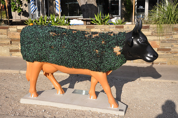Chia Cow