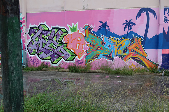 Chestnut Street Wall 0004