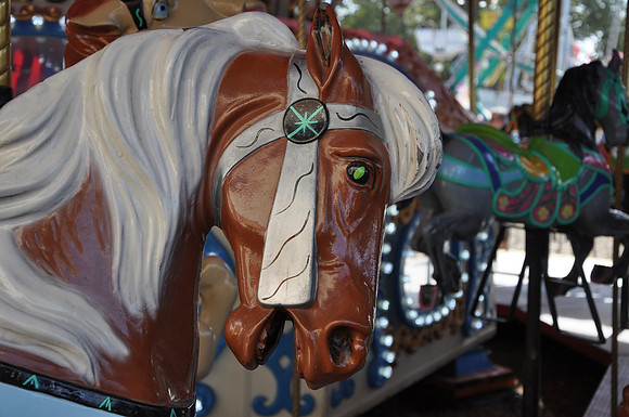 Carousel Horse Head