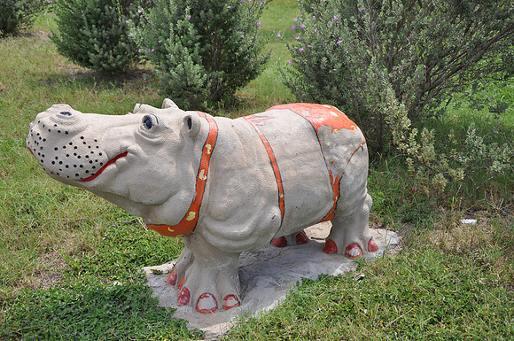Hutto Hippo 0001