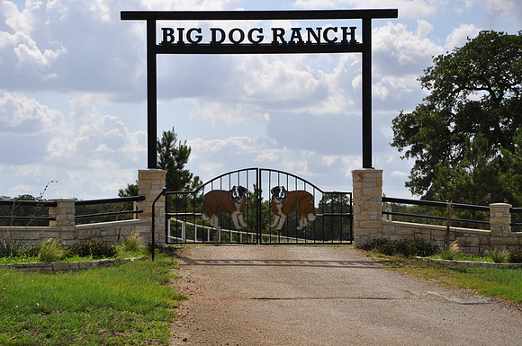 Big Dog Ranch