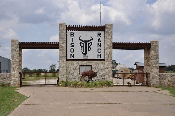 Bison Ranch