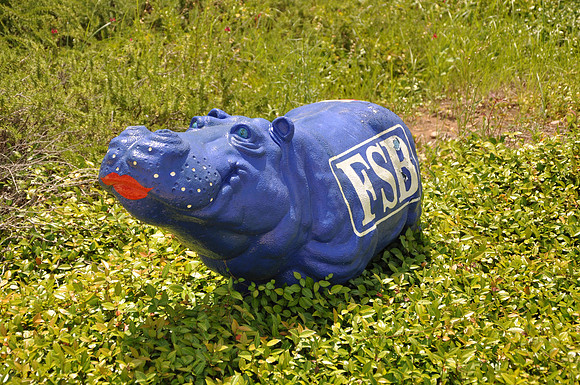 Hutto Hippo 0002