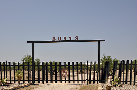 Burts