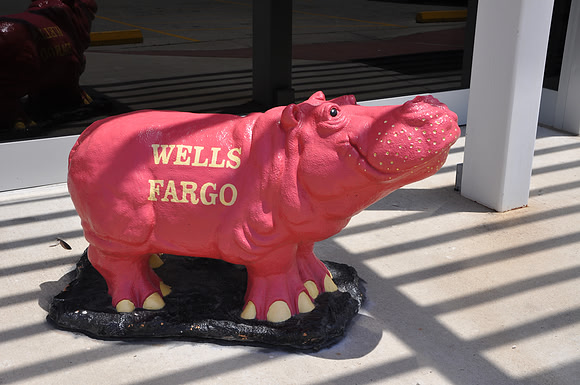 Hutto Hippo 0009