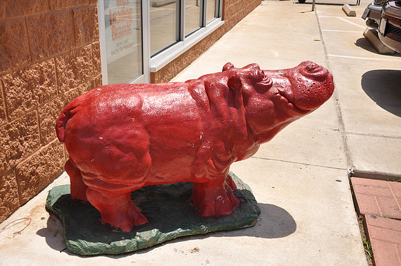 Hutto Hippo 0007