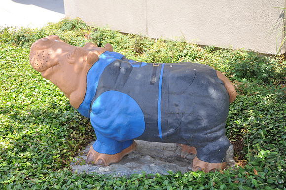 Hutto Hippo 0014