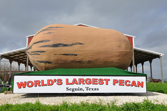 World's Largest Pecan