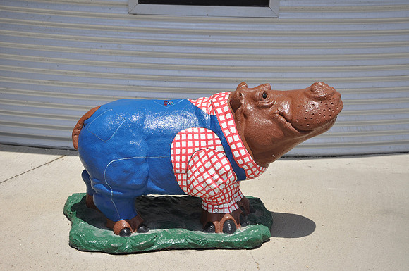 Hutto Hippo 0010