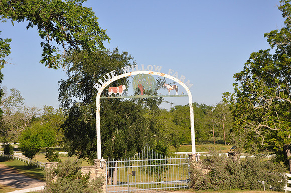 Blue Willow Farm