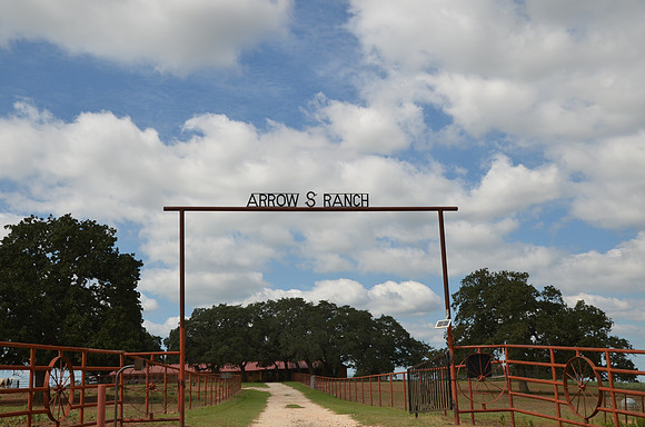 Texas Ranch Gate
